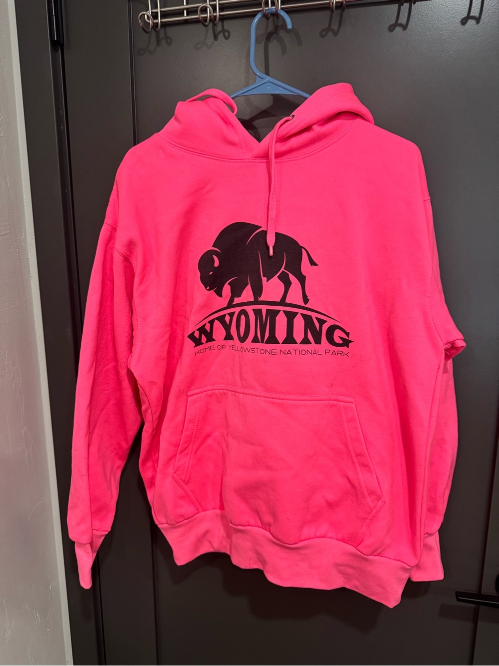 Wyoming Buffalo Graphic Pink Hooded Sweatshirt